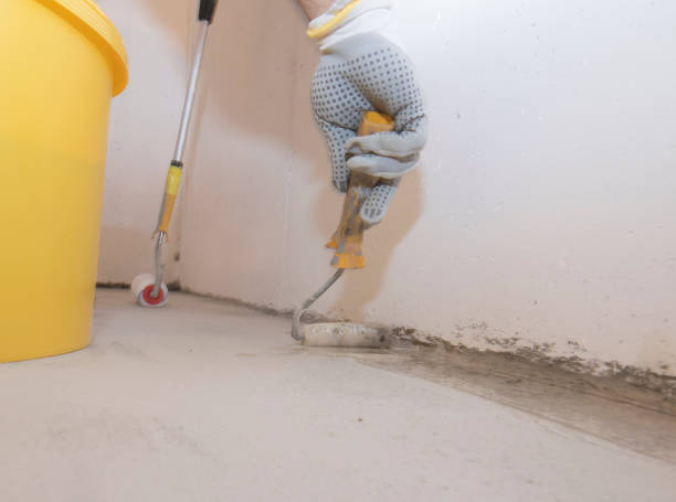 Best Termite Inspection and Treatment  in Centerville, GA